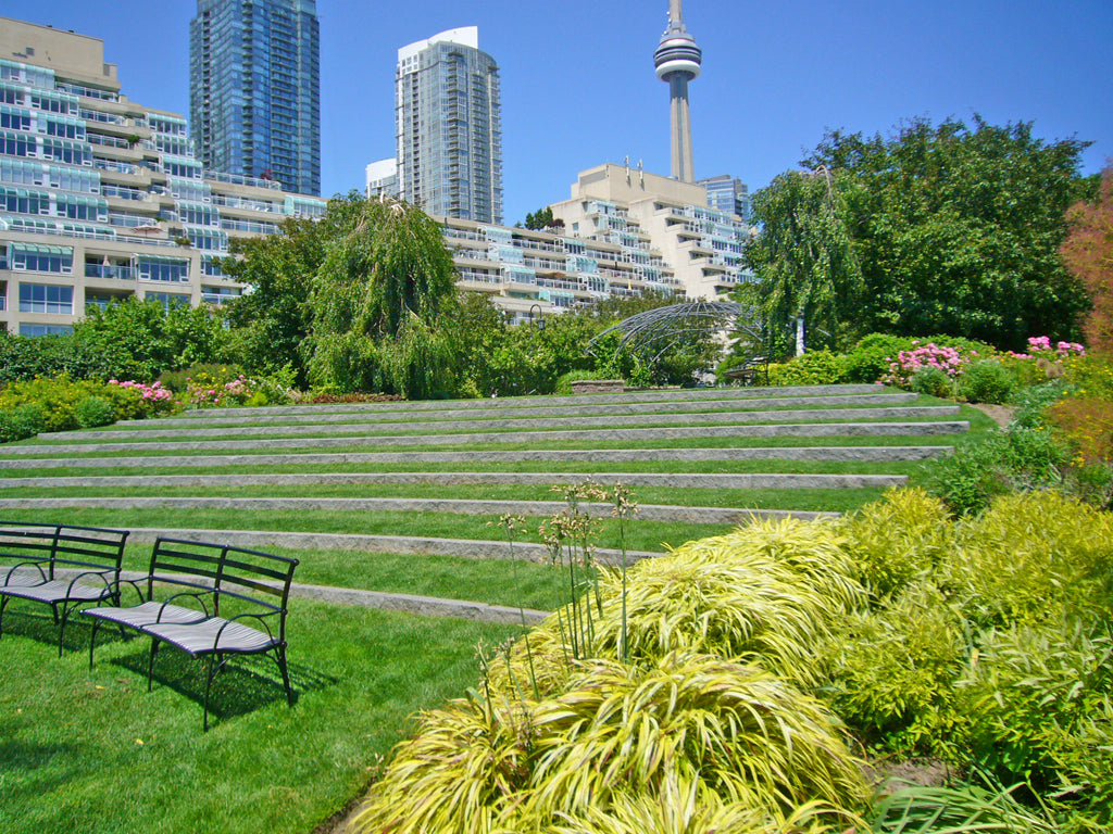 Toronto Music Garden - Wedding Photo Shoot