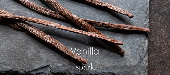 Vanilla Bean Essential Oil Aromatherapy Scent Benefits Spark Soy Candles