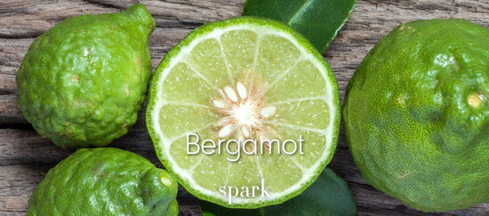 Bergamot Essential Oil Aromatherapy Scent Benefits Soy Spark Candles