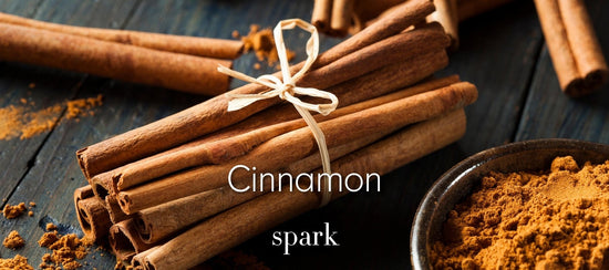 Cinnamon Essential Oil Aromatherapy Scent Benefits Spark Soy Candles