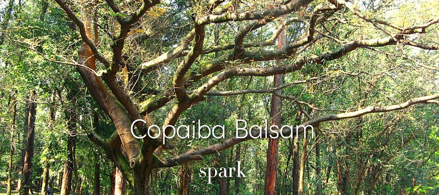 Copaiba Balsam Essential Oil Aromatherapy Scent Benefits Spark Soy Candles