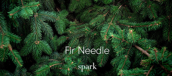 Fir Needle Pine Essential Oil Aromatherapy Scent Benefits Spark Soy Candles