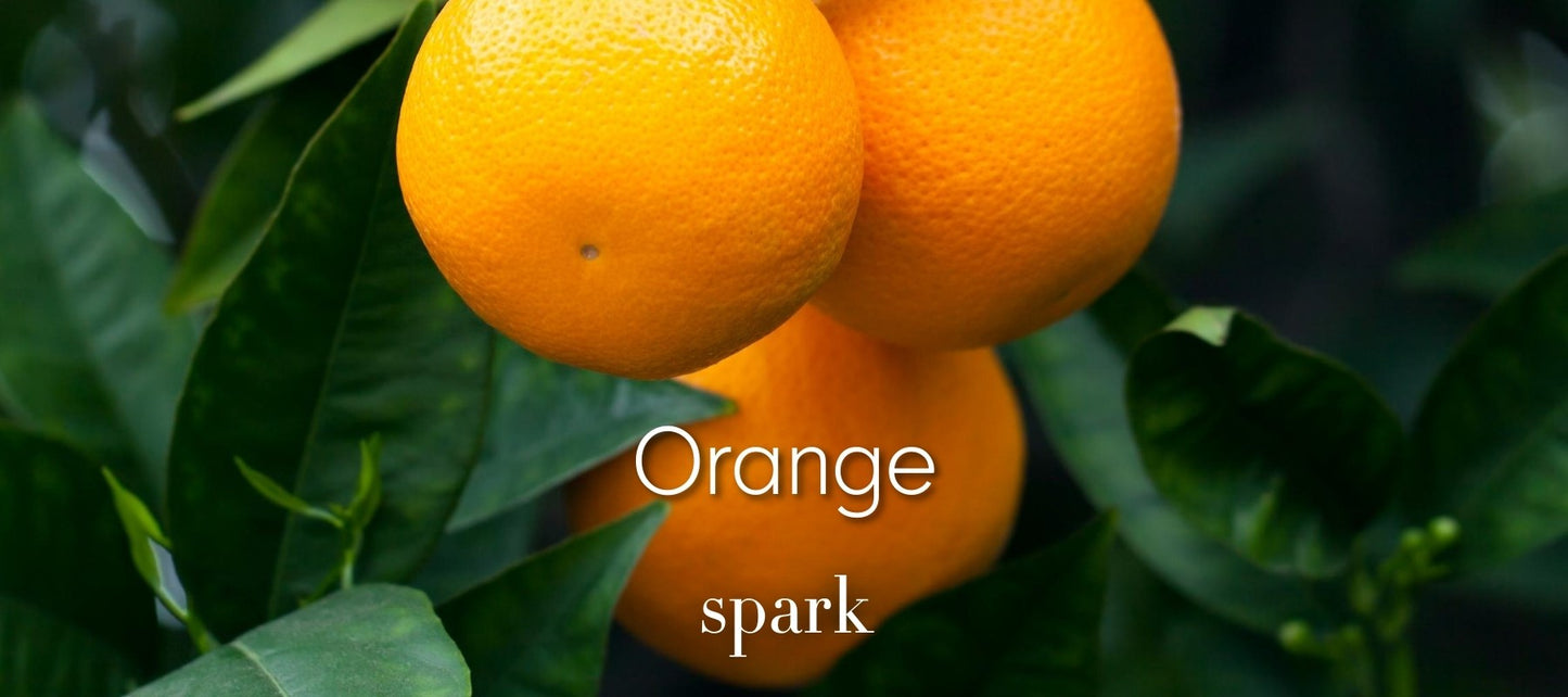 Orange Essential Oil Aromatherapy Scent Benefits Spark Soy Candles