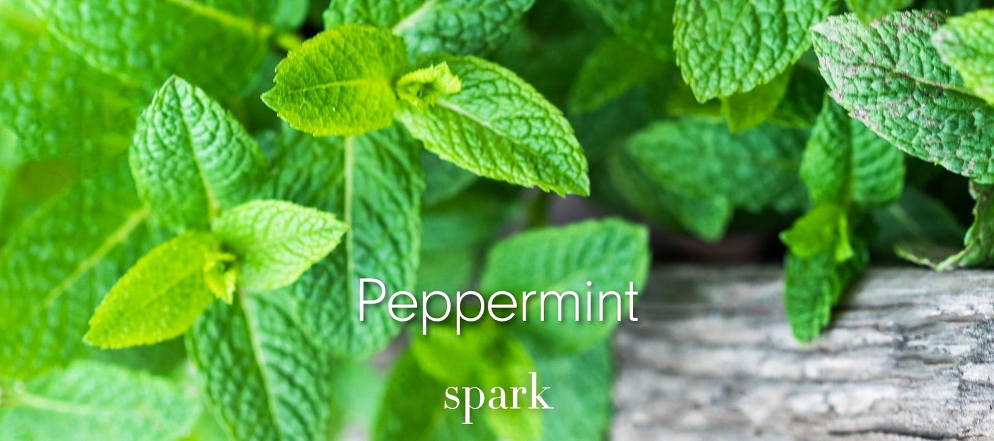 Peppermint Mint Essential Oil Aromatherapy Scent Benefits Soy Spark Candles