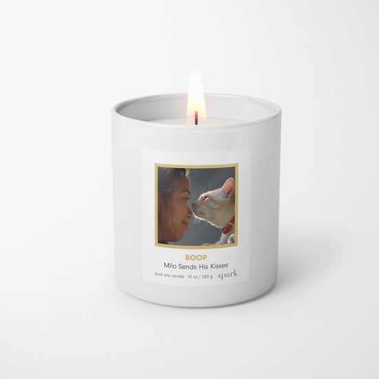 Load image into Gallery viewer, Custom Funny Photo Candle of Dog Picture in 10oz Matte White Glass with Aromatherapy Scent
