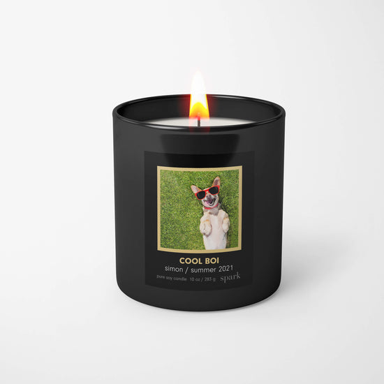 Load image into Gallery viewer, Custom Scented Funny Photo Candle with Doggy Picture in 10oz Matte Black Glass with Aromatherapy Scent
